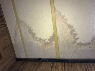 Specialists performing mold remediation to restore a safe and healthy environment.